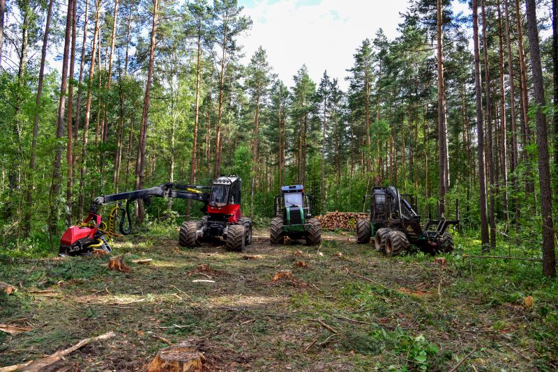 Forestry Clearing in Houston, TX
