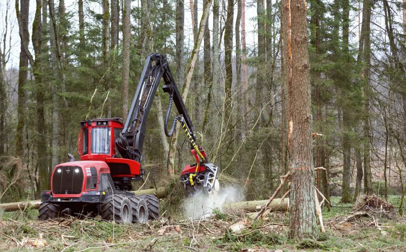 Forestry Clearing in Cumming, GA