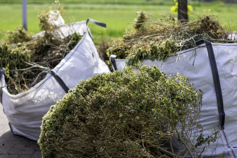 Brush Clearing Service in Cumming, GA