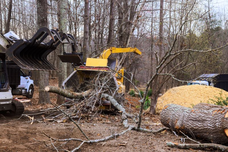 Dogwood Tree Removal in Allentown, PA