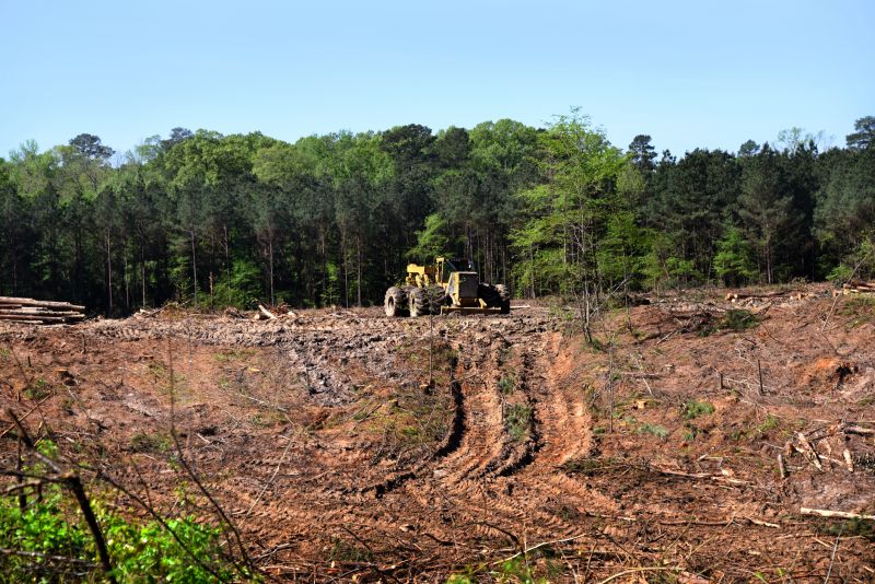 Easement Land Clearing in Gwinnett County, GA