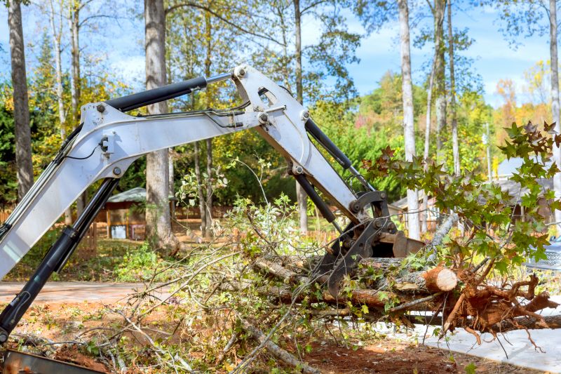 Easement Land Clearing in Katy, TX