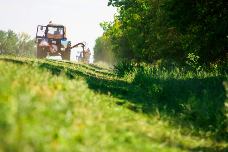 Field Clearing in Cumming, GA