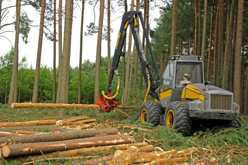Forestry Clearing in Houston, TX