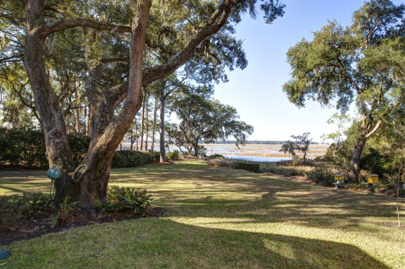 Lakefront Property Clearing in Houston, TX