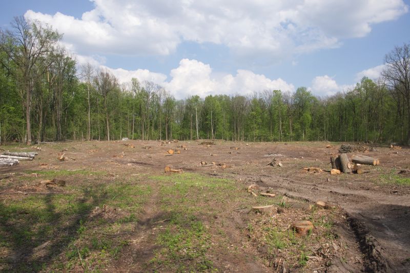 Land Clearing in Gwinnett County, GA
