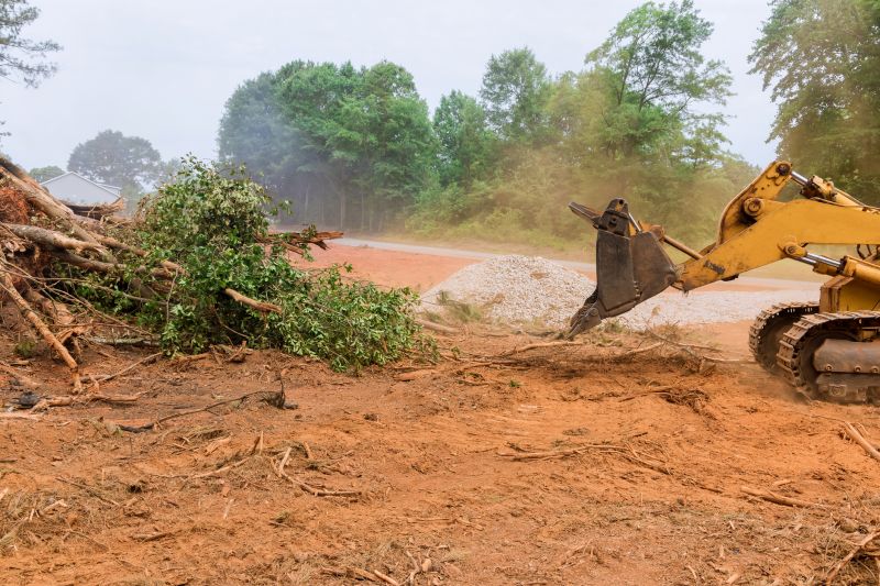 Site Cleaning in Cumming, GA
