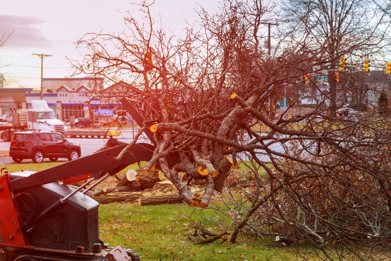 Site Clearing Service in Atlanta, GA