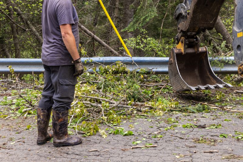 Site Clearing Service in Salt Lake City, UT