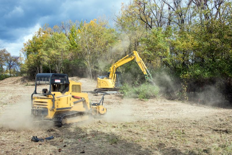 Site Clearing Service in Houston, TX