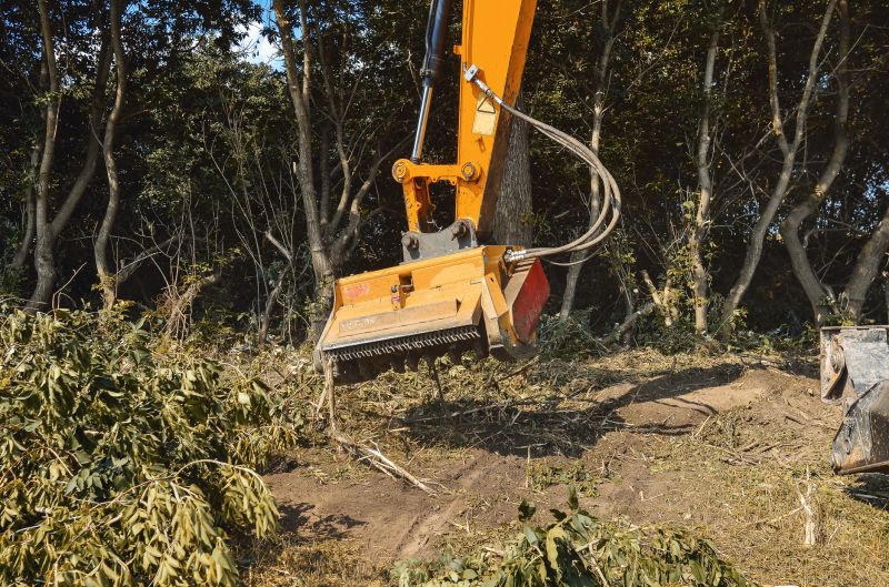 Undergrowth Removal in Cumming, GA
